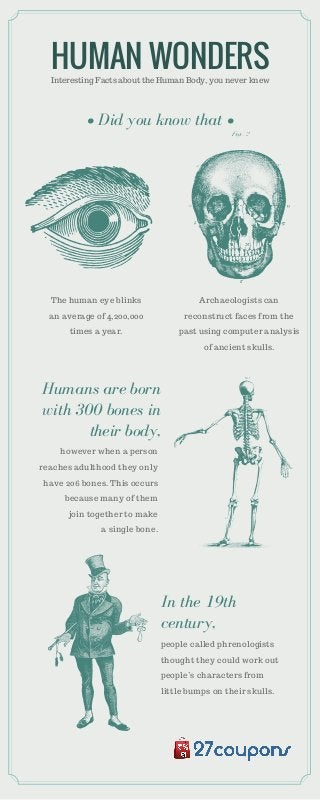HUMAN WONDERSInteresting Facts about the Human Body, you never knew
people called phrenologists
thought they could work out
people’s characters from
little bumps on their skulls.
however when a person
reaches adulthood they only
have 206 bones. This occurs
because many of them
join together to make
a single bone.
The human eye blinks
an average of 4,200,000
times a year.
Archaeologists can
reconstruct faces from the
past using computer analysis
of ancient skulls.
Humans are born
with 300 bones in
their body,
In the 19th
century,
• Did you know that •
 