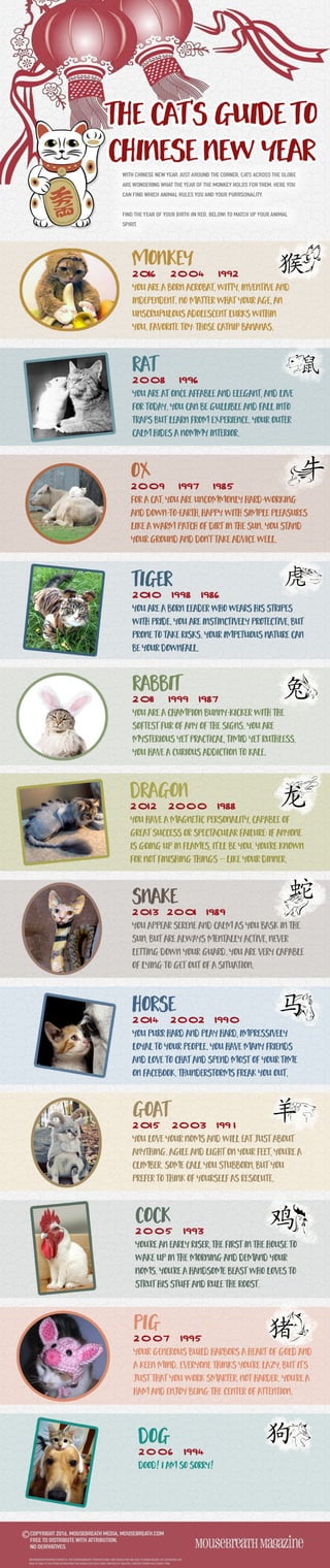 The Cat's Guide to Chinese New Year INFOGRAPHIC
