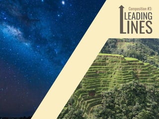 Composition #3:
LEADING
LINES
 