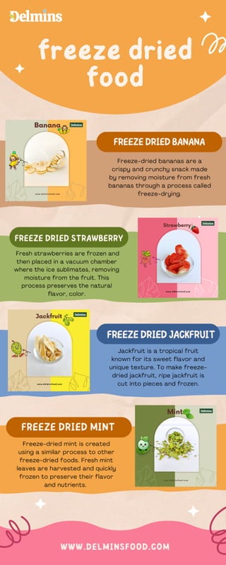 Delmins Food - freeze-dried and dehydrated food products | PDF ...