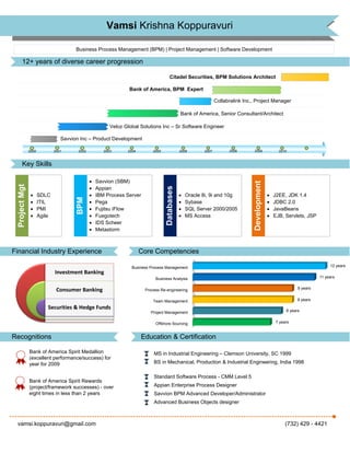 infographic resume finance
