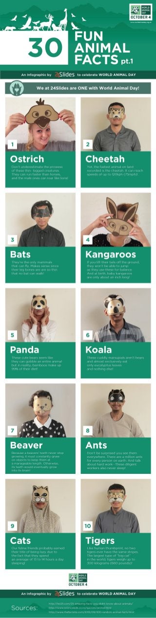 Infographic - World Animal Day - 30 Fun Animal Facts pt 1