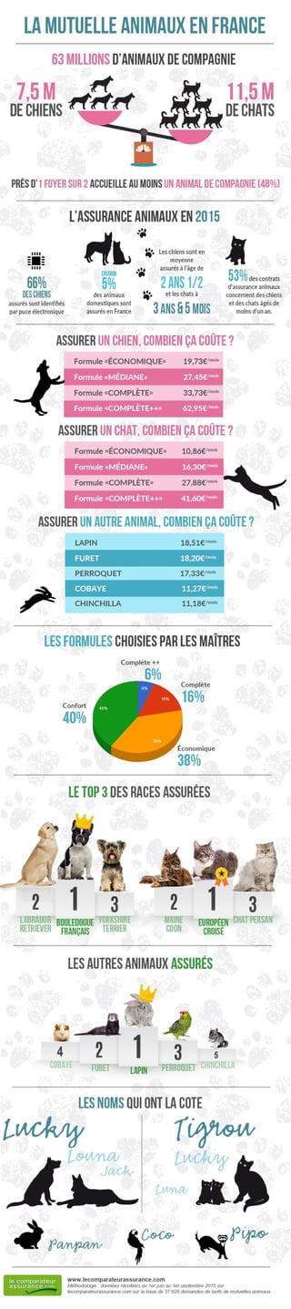 Mutuelle chien, chat et NAC : l'assurance animaux en France
