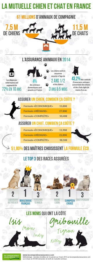 La mutuelle chien et chat en France