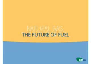 Natural gas, the future of fuel