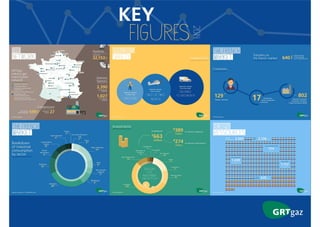 Key figures of French gas market 