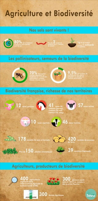 Infographie Agriculture et Biodiversité