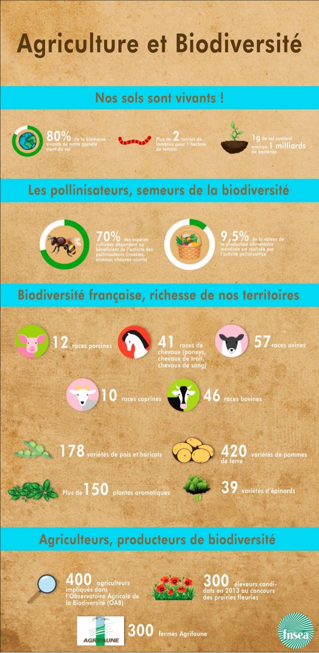 Infographie Agriculture Et Biodiversite