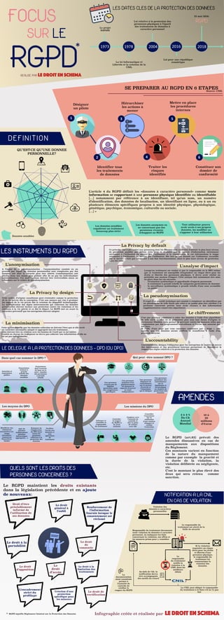 INFOGRAPHIE - Focus sur le RGPD | PDF