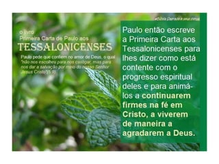 infográficos Cartas Paulinas.pptx