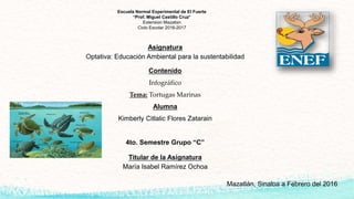 Escuela Normal Experimental de El Fuerte
“Prof. Miguel Castillo Cruz”
Extensión Mazatlán
Ciclo Escolar 2016-2017
Asignatura
Optativa: Educación Ambiental para la sustentabilidad
Contenido
Infográfico
Tema: Tortugas Marinas
Alumna
Kimberly Citlalic Flores Zatarain
4to. Semestre Grupo “C”
Titular de la Asignatura
María Isabel Ramírez Ochoa
Mazatlán, Sinaloa a Febrero del 2016
 