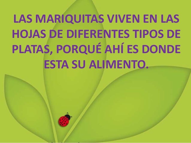 De Dónde Viene La Palabra Mariquita