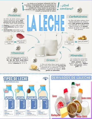 Infograma de la  leche