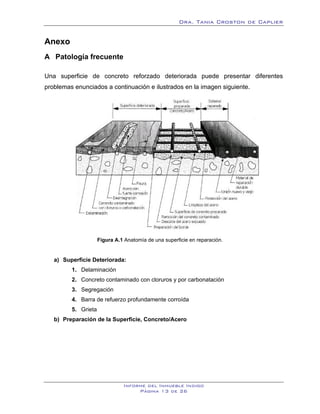 Dra. Tania Croston de Caplier


Anexo
7B




A Patología frecuente
     8B




Una superficie de concreto reforzado deteriorada puede presentar diferentes
problemas enunciados a continuación e ilustrados en la imagen siguiente.




                       Figura A.1 Anatomía de una superficie en reparación.


     a) Superficie Deteriorada:
           1. Delaminación
           2. Concreto contaminado con cloruros y por carbonatación
           3. Segregación
           4. Barra de refuerzo profundamente corroída
           5. Grieta
     b) Preparación de la Superficie, Concreto/Acero




                                 Informe del Inmueble Indigo
                                      Página 13 de 26
 
