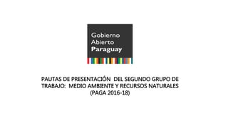 PAUTAS DE PRESENTACIÓN DEL SEGUNDO GRUPO DE
TRABAJO: MEDIO AMBIENTE Y RECURSOS NATURALES
(PAGA 2016-18)
 