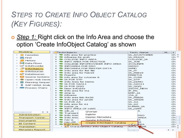 SAP BW - Info object catalog | PPT