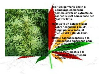 45 D.C. Es construeix la Isglesia Etíope, en la qual la marihuana constitueix un dels seus sacraments. 