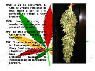 800 Mahoma permeteix el cannabis, però prohibeix l'alcohol. 