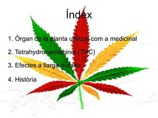 Índex 1. Òrgan de la planta utilitzat com a medicinal 2. Tetrahydrocannabinol (THC) 3. Efectes a llarga durada 4. Història 