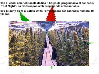 1611 Els Anglesos porten el cannabis a Virginia. 