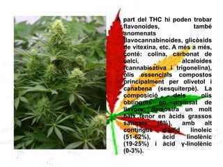 A part del THC hi poden trobar flavonoides, també anomenats flavocannabinoides, glicòsids de vitexina, etc. A més a més, conté: colina, carbonat de calci, alcaloides (cannabisativa i trigonelina), olis essencials compostos principalment per olivetol i canabena (sesquiterpè). La composició dels olis obtinguts en premsat de llavors, demostra un molt baix tenor en àcids grassos saturats (8%), amb alt contingut d'àcid linoleic (51-62%), àcid linolènic (19-25%) i àcid γ-linolènic (0-3%). 