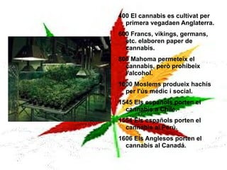 1.500 A.C. El cannabis arriva a Europa.  