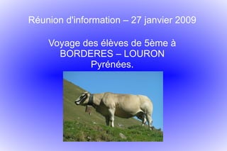 Réunion d'information – 27 janvier 2009 Voyage des élèves de 5ème à BORDERES – LOURON Pyrénées. 