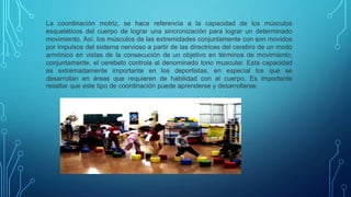 La coordinación motriz, se hace referencia a la capacidad de los músculos
esqueléticos del cuerpo de lograr una sincronización para lograr un determinado
movimiento. Así, los músculos de las extremidades conjuntamente con son movidos
por impulsos del sistema nervioso a partir de las directrices del cerebro de un modo
armónico en vistas de la consecución de un objetivo en términos de movimiento;
conjuntamente, el cerebelo controla al denominado tono muscular. Esta capacidad
es extremadamente importante en los deportistas, en especial los que se
desarrollan en áreas que requieren de habilidad con el cuerpo. Es importante
resaltar que este tipo de coordinación puede aprenderse y desarrollarse.
 