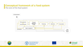Catalysing the Sustainable and Inclusive Transformation of Food Systems ...
