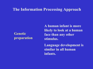 The Information Processing Approach Genetic preparation A human infant is more likely to look at a human face than any other stimulus. Language development is similar in all human infants. 