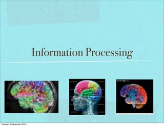 Information Processing
Tuesday, 3 September 2013
 