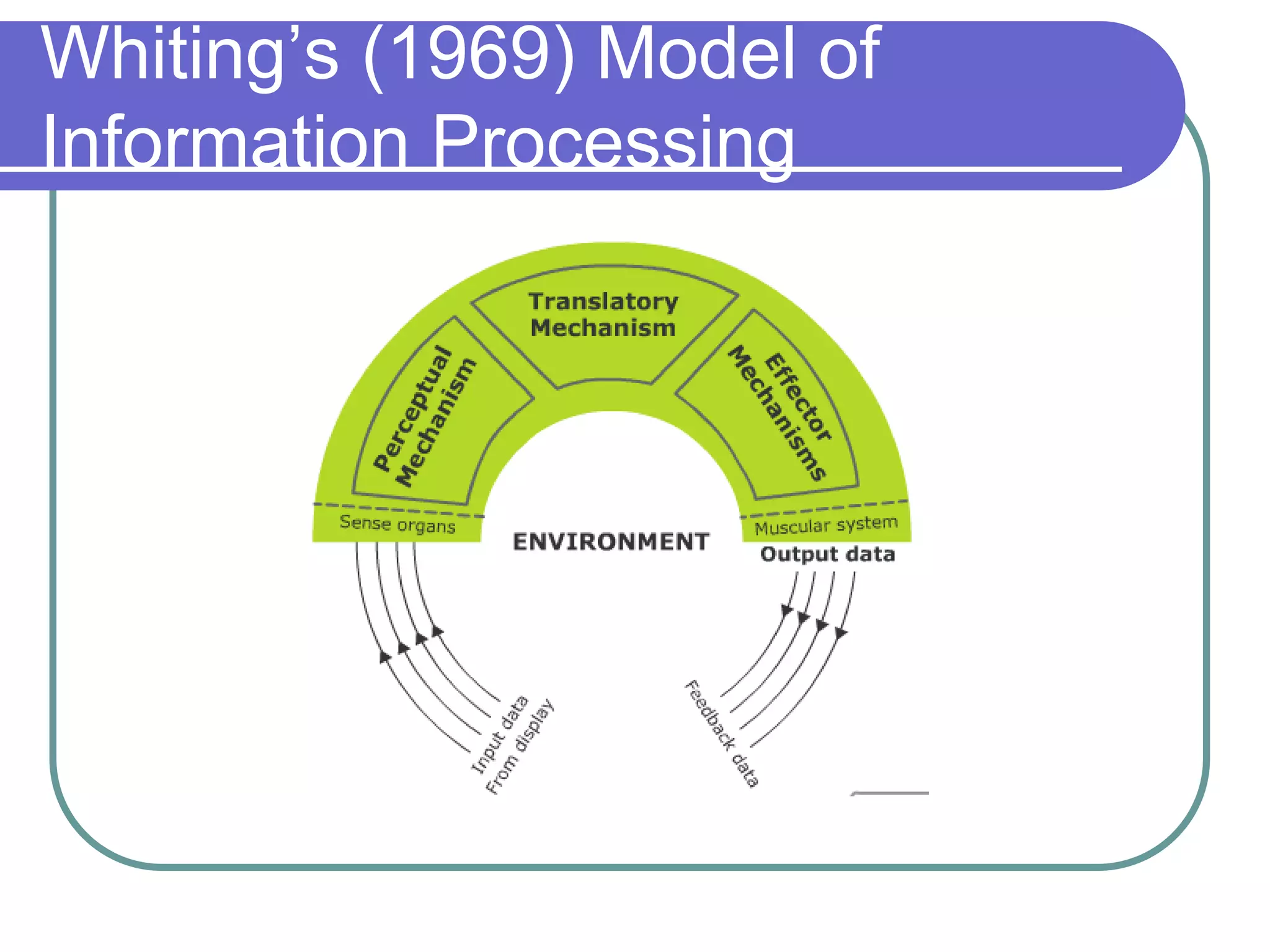 Whiting’s (1969) Model of
Information Processing
 