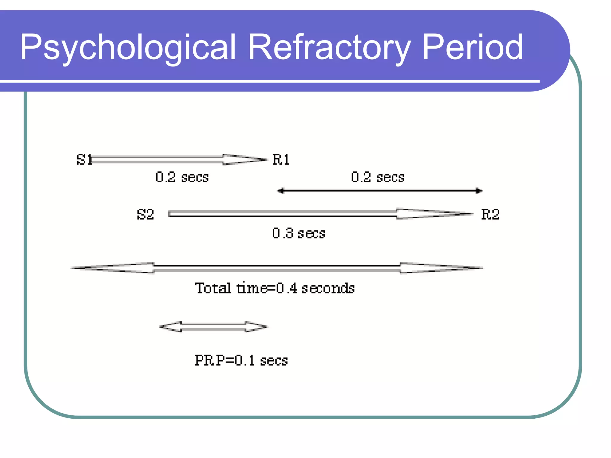 Psychological Refractory Period
 