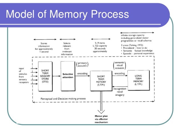 Improving iq score image 5