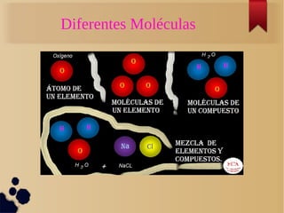 Diferentes Moléculas 
 