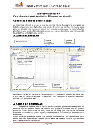 INFORMÁTICA 2011 – BANCO DO BRASIL
Página 55
Microsfot Excel XP
(Parte integrante do pacote de aplicativos Office criado pela Microsoft):
Conceitos básicos sobre o Excel
Ao iniciarmos o Excel, e apenas a nível de controle interno do programa, uma pasta de
trabalho inicialmente com 3 planilhas será criada. O número de planilhas na mesma pasta
pode ser alterado pelo usuário, de acordo com as suas necessidades e o número total de
planilhas de uma pasta está relacionado apenas aos recursos de sistema e de memória, não
havendo limite formal para este número.
A Janela do Excel XP
Lembre-se que .xls é a terminação de domínio para o Excel dentro do Windows e que para
o Windows (ou dentro do Explorer) o documento do Excel continua a ser um documento
simples, com terminação .xls
A BARRA DE FÓRMULAS:
Sempre que olhamos para as células de uma planilha o que estamos enxergando é o
resultado daquela posição dentro da planilha. Isso porque o conteúdo daquela posição
(índice da coluna mais índice da linha) pode ser um string (um conjunto de caracteres
numéricos ou alfabéticos) que foi digitado naquela posição ou o resultado de uma fórmula
matemática.
Assim, para que possamos afirmar com certeza o conteúdo de uma determinada célula
dentro do Excel, é preciso que olhemos para a Barra de Fórmula, situada logo abaixo da
Barra de Ferramentas Formatação.
Referência de seleção
(coluna x linha). Indica a
célula que está
atualmente selecionada
Célula ativa: A1
Barra de
FórmulasRótulo de colunas
Painel de
Opções
Ajuda
Barra de Planilhas Barras de
Rolagens
Rótulo de Linhas
Barra de Status
 