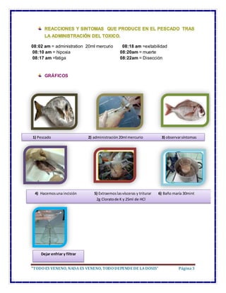 “TODO ES VENENO, NADA ES VENENO, TODO DEPENDE DE LADOSIS” Página3
08:02 am = administration 20ml mercurio 08:18 am =exitab...