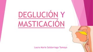 DEGLUCIÓN Y
MASTICACIÓN
Laura María Saldarriaga Tamayo
 