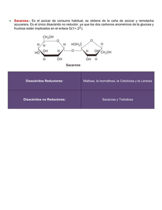  Sacarosa.- Es el azúcar de consumo habitual, se obtiene de la caña de azúcar y remolacha
azucarera. Es el único disacárido no reductor, ya que los dos carbonos anoméricos de la glucosa y
fructosa están implicados en el enlace G(1 ,2 ).
Disacáridos Reductores: Maltosa, la Isomaltosa, la Celobiosa y la Lactosa
Disacáridos no Reductores: Sacarosa y Trehalosa
 