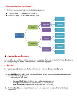 Lípidos
Saponificables
Simples
Acilglicéridos
Monoglicéridos
Diuglicéridos
TrigloicéridosCéridos
Complejos:
Fosfolípidos
Fosfoglicéridos
Fosfoesfingolípidos
Glucolípidos
Cerebrósidos
Gangliósidos
¿Cómo se clasifican los Lípidos?
Se clasifican de acuerdo a la presencia de ácidos grasos en:
 Saponificables: Contienen ácidos grasos.
 Insaponificables: No contiene ácidos grasos
Lípidos Saponificables:
Son aquellos que contienen ácidos grasos que pueden ser liberados mediante hidrólisis. Son ésteres
de ácidos grasos y un alcohol o aminoalcohol. Comprenden 2 grupos:
 Simples:
En cuya composición solo existe Carbono, hidrógeno y oxígeno. Comprenden 2 grupos:
1. Acilglicéridos: Formados por la esterificación de una, dos o tres moléculas de ácidos grasos
con una molécula de glicerina.
Se distinguen tres tipos:
 Monoacilglicéridos: Contienen una molécula de ácido graso
 Diacilglicéridos: Contiene dos moléculas de ácidos grasos.
 Triacilglicéridos: Contiene tres moléculas de ácidos grasos.
2. Céridos: Se obtienen por esterificación de un ácido graso con un alcohol monovalente de
cadena larga.
 
