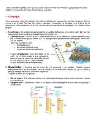 Tiene un carácter lipófilo, por lo cual su unión origina láminas impermeables que protegen muchos
tejidos y formaciones dérmicas de animales y vegetales.
 Complejos:
En su estructura molecular además de carbono, hidrógeno y oxígeno hay también nitrógeno, fosforo,
azufre o un glúcido. Son las principales moléculas constitutivas de la doble capa lipídica de las
membranas citoplasmáticas, por lo que también se los llama lípidos de membrana. Se dividen en dos
grupos:
1. Fosfolípidos: Se caracterizan por presentar un ácido orto fosfórico en su zona polar. Son los más
abundantes de la membrana citoplasmática. Se dividen en:
 Fosfoglicéridos: Formados por la esterificación de un ácido fosfatídico (una molécula formada
por la unión de un grupo fosfato con un diacilglicérido que posee un ácido graso insaturado)
con un alcohol.
Los más abundantes son:
- Fosfatidilserina
- lecticina o foafatidilcolina
- Cefalina o fosfatidiletanolamina
 Fosfoesfingolípidos: Están formados por la
unión de un ácido graso y una esfingosina,
conjunto que se denomina ceramida, al que
se une un grupo fosfato y aminoalcohol.
El más abundante es la esfingomielina.
2. Glucolípidos: Formados por la unión de una ceramida y un glúcido. También poseen
esfingosina como los fosfolípidos, pero se diferencian de estos por carecer del grupo fosfato y
porque en lugar de alcohol presentan un glúcido.
Pueden dividirse en dos grupos:
 Cerebrósidos: A la ceramida se une una cadena glucídica que puede tener entre uno o quince
monosacáridos.
 Gangliósidos: La ceramida se une a un oligosacárido complejo en el que siempre aparece el
ácido siálico.
 