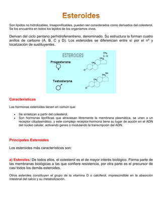 Son lípidos no hidrolizables, Insaponificables, pueden ser considerados como derivados del colesterol.
Se los encuentra en todos los tejidos de los organismos vivos.
Derivan del ciclo pentano perhidrofenantreno, denominado. Su estructura la forman cuatro
anillos de carbono (A, B, C y D). Los esteroides se diferencian entre sí por el nº y
localización de sustituyentes.
Características
Las hormonas esteroides tienen en común que:
 Se sintetizan a partir del colesterol.
 Son hormonas lipofílicas que atraviesan libremente la membrana plasmática, se unen a un
receptor citoplasmático, y este complejo receptor-hormona tiene su lugar de acción en el ADN
del núcleo celular, activando genes o modulando la transcripción del ADN.
Principales Esteroides
Los esteroides más característicos son:
a) Esteroles: De todos ellos, el colesterol es el de mayor interés biológico. Forma parte de
las membranas biológicas a las que confiere resistencia, por otra parte es el precursor de
casi todos los demás esteroides.
Otros esteroles constituyen el grupo de la vitamina D o calciferol, imprescindible en la absorción
intestinal del calcio y su metabolización.
 
