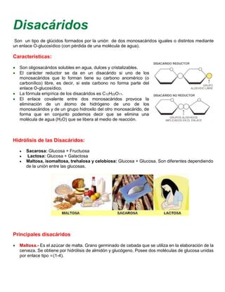 Disacáridos
Son un tipo de glúcidos formados por la unión de dos monosacáridos iguales o distintos mediante
un enlace O-glucosídico (con pérdida de una molécula de agua).
Características:
 Son oligosacáridos solubles en agua, dulces y cristalizables.
 El carácter reductor se da en un disacárido si uno de los
monosacáridos que lo forman tiene su carbono anomérico (o
carbonílico) libre, es decir, si este carbono no forma parte del
enlace O-glucosídico.
 La fórmula empírica de los disacáridos es C12H22O11.
 El enlace covalente entre dos monosacáridos provoca la
eliminación de un átomo de hidrógeno de uno de los
monosacáridos y de un grupo hidroxilo del otro monosacárido, de
forma que en conjunto podemos decir que se elimina una
molécula de agua (H2O) que se libera al medio de reacción.
Hidrólisis de las Disacáridos:
 Sacarosa: Glucosa + Fructuosa
 Lactosa: Glucosa + Galactosa
 Maltosa, isomaltosa, trehalosa y celobiosa: Glucosa + Glucosa. Son diferentes dependiendo
de la unión entre las glucosas.
Principales disacáridos
 Maltosa.- Es el azúcar de malta. Grano germinado de cebada que se utiliza en la elaboración de la
cerveza. Se obtiene por hidrólisis de almidón y glucógeno. Posee dos moléculas de glucosa unidas
por enlace tipo (1-4).
 