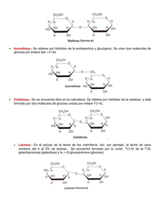  Isomaltosa.- Se obtiene por hidrólisis de la amilopectina y glucógeno. Se unen dos moléculas de
glucosa por enlace tipo (1-6)
 Celobiosa.- No se encuentra libre en la naturaleza. Se obtiene por hidrólisis de la celulosa. y está
formado por dos moléculas de glucosa unidas por enlace (1-4).
 Lactosa.- Es el azúcar de la leche de los mamíferos. Así, por ejemplo, la leche de vaca
contiene del 4 al 5% de lactosa. Se encuentra formada por la unión (1-4) de la -D-
galactopiranosa (galactosa) y la -D-glucopiranosa (glucosa).
 