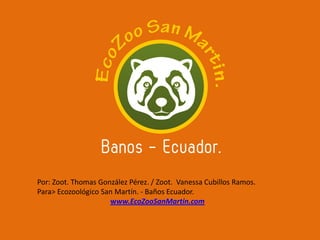 Por: Zoot. Thomas González Pérez. / Zoot. Vanessa Cubillos Ramos.
Para> Ecozoológico San Martín. - Baños Ecuador.
www.EcoZooSanMartin.com
 
