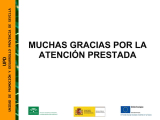 MUCHAS GRACIAS POR LA ATENCIÓN PRESTADA UNIDAD DE PROMOCIÓN Y DESARROLLO PROVINCIA DE SEVILLA UPD  UNIDAD DE PROMOCIÓN Y DESARROLLO PROVINCIA DE SEVILLA 
