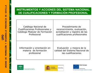 UNIDAD DE PROMOCIÓN Y DESARROLLO PROVINCIA DE SEVILLA INSTRUMENTOS Y ACCIONES DEL SISTEMA NACIONAL DE CUALIFICACIONES Y FORMACIÓN PROFESIONAL UPD  UNIDAD DE PROMOCIÓN Y DESARROLLO PROVINCIA DE SEVILLA Catálogo Nacional de Cualificaciones Profesionales y Catálogo Modular de Formación Profesional Procedimiento de reconocimiento, evaluación, acreditación y registro de las cualificaciones profesionales Información y orientación en materia  de formación profesional Evaluación  y mejora de la calidad del Sistema Nacional de las cualificaciones 