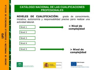 UNIDAD DE PROMOCIÓN Y DESARROLLO PROVINCIA DE SEVILLA CATÁLOGO NACIONAL DE LAS CUALIFICACIONES PROFESIONALES NIVELES DE CUALIFICACIÓN:  grado de conocimiento, iniciativa,  autonomía  y responsabilidad preciso  para  realizar una actividad laboral.  Nivel 1 < Nivel de complejidad Nivel 2 Nivel 3 Nivel 4 Nivel 5 > Nivel de complejidad UPD  UNIDAD DE PROMOCIÓN Y DESARROLLO PROVINCIA DE SEVILLA 