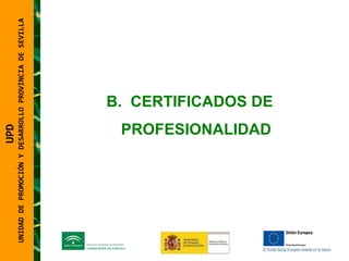UNIDAD DE PROMOCIÓN Y DESARROLLO PROVINCIA DE SEVILLA CERTIFICADOS DE PROFESIONALIDAD UPD  UNIDAD DE PROMOCIÓN Y DESARROLLO PROVINCIA DE SEVILLA 