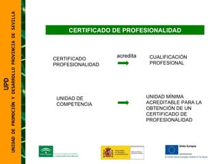 UNIDAD DE PROMOCIÓN Y DESARROLLO PROVINCIA DE SEVILLA CERTIFICADO DE PROFESIONALIDAD CERTIFICADO PROFESIONALIDAD CUALIFICACIÓN PROFESIONAL acredita UNIDAD DE COMPETENCIA UNIDAD MÍNIMA ACREDITABLE PARA LA OBTENCIÓN DE UN CERTIFICADO DE PROFESIONALIDAD UPD  UNIDAD DE PROMOCIÓN Y DESARROLLO PROVINCIA DE SEVILLA 